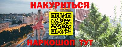 сатива Бийск