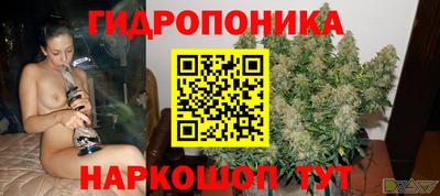 сатива Бийск