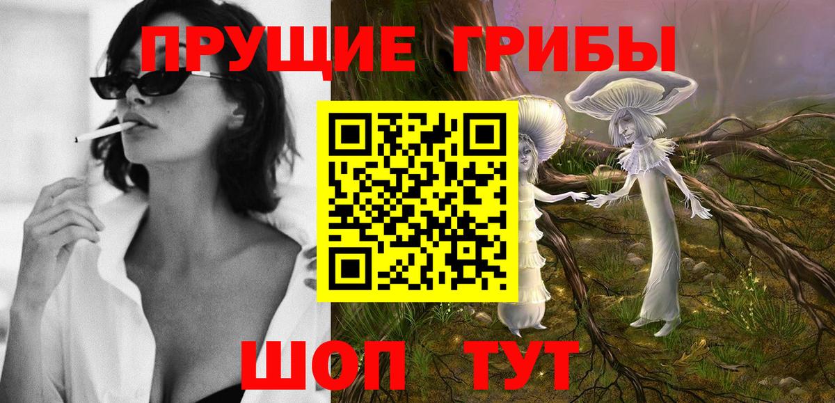 Псилоцибиновые грибы прущие грибы Тимашёвск