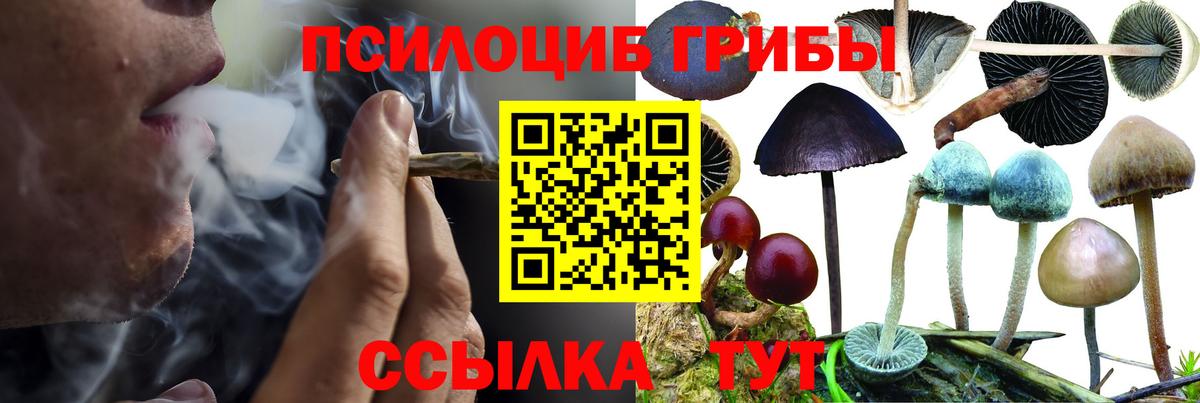 Псилоцибиновые грибы мицелий  Вход с VPN  Тимашёвск 